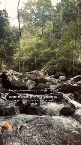 #beranda #fyp #4u #sadvibes 