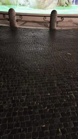 #buongiorno tutti 🤗Piazza Navona ❤️#Roma #italy🇮🇹🇮🇹🇮🇹 #foryour #videoviral ❤️