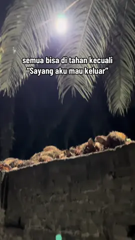 Kata nya @Mamas Iqbal👑 yang sudah berpengalaman🥶 @Angga Saputra @Bang’Sam @Putut Herlambang @firman_ganda ⚡️ @Rico @ripus bocek⚡️ @🅰️ N G G A. 🅰️DI  @agung⭐️ @Hanafii🫧 @ANDIKA @F I R M A N_GICEK @Yo ikii_jayeng @Team sm @Mpengg🍼 @