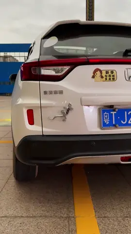 Solar gecko car sticker 🦎🦎🦎