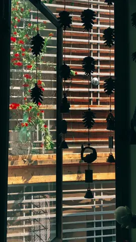 Ô cửa sổ 🖤 #nguoibinhthuong #dieubinhthuong #art #Sil 