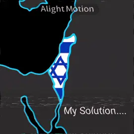 My Solution for Palestine #fyp #lewatberanda #trend #rampage 