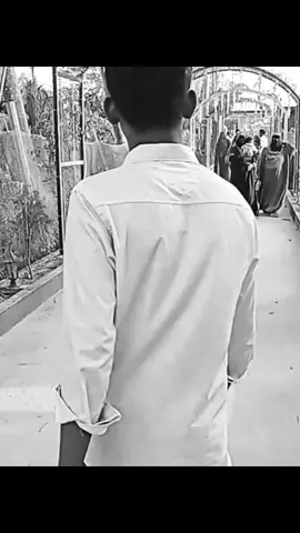 #ভেবে দেখছো...!! একদিন আমি আর থাকবো না....তোমার অপেক্ষায় থাকতে থাকতে একদিন সত্যিই নিঃশ্বাস থেকে যাবে... তখন হয়তো তোমার মনে প্রশ্ন জাগবে- আমি কেন এভাবে চলে গেলাম? কিন্তু উত্তর তোমার হাতে নেই। একটা লুকিয়ে থাকবে আমার দীর্ঘ অপেক্ষার রাতগুলোতে, যে রাতগুলোতে আমি তোমার জন্য জেগে ছিলাম। লুকিয়ে থাকবে আমার বেজা বালিশ, যে বালশি তোমার নাম ধরে কান্না করেছিলাম। লুকিয়ে থাকবে আমার ভাঙ্গা হৃদয়ের প্রতিটা টুকরোতে। তখন তুমি বুঝবে- ভালোবাসা হারিয়ে গেলে কেমন লাগে, অবহেলিত মানুষ একদিন কেমন করে অচেনা হয়ে যায়। তখন হয়তো তুমি অপেক্ষা করবে-যদি একটু আগেই বুঝতে যদি একটু আগে ফিরে আসতে! কিন্তু তখন আর কিছু করার থাকবে না। আমার জীবন তখন শেষ হয়ে যাবে শুধু রয়ে যাবে আমার ভালোবাসার স্মৃতি আর তোমার বুকের ভেতর জমে থাকা অনুশোচনাভাবো তো, যদি তুমি আমার পাশে দাঁড়িয়ে কান্নাভেজা চোখে বলো-আমি তোমাকে সত্যি ভালোবসতাম -আমি কি শুনতে পাবো.? না, আমি নিরবতাই হরিয়ে যাবো/ তোমার প্রতিটি কথা বাতাসে মিলিয়ে যাবে,, তোমার প্রতিটি অশ্রু মাটিতে ঝরেসাস্ট পড়বে, আর আমি থাকবো শুধু এক টুকরা স্মৃতি হয়ে🌺    @TikTok Bangladesh 