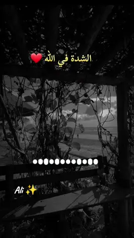 وعلى نياتكم ترزقون #ستفرج_بأذن_الله #اللهم_صلي_على_نبينا_محمد #يارب_فوضت_امري_اليك #اكسبلور 