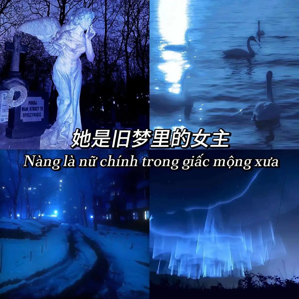 她是旧梦里的女主， 明明倾国倾城，却被岁月轻轻放下。 Nàng là nữ chính trong giấc mộng xưa, Rõ ràng khuynh quốc khuynh thành, mà bị tháng năm buông bỏ nhẹ nhàng. #pawpei_grp #kochoushinobu #kny #xhuongtiktok 