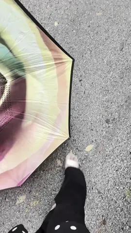 🖤❤️‍🩹 #itshafsabeb #hafsabeb #hafsab #teamsalman 