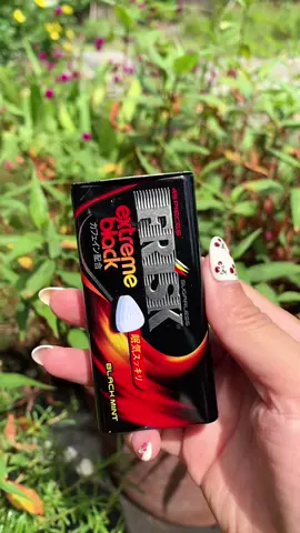 Kẹo ngậm thơm miệng bạc hà Nhật bản #keo #bacha #nhatban🇯🇵 #nhatban 