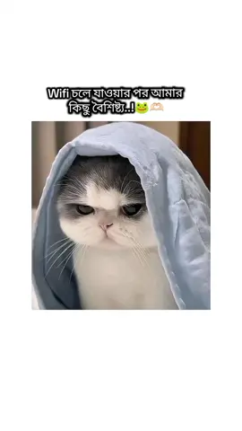 tomi ki koro..?👀🫶🏻🐸 . . #Foryou #trend #relatable #funny #foryoupageofficiall 