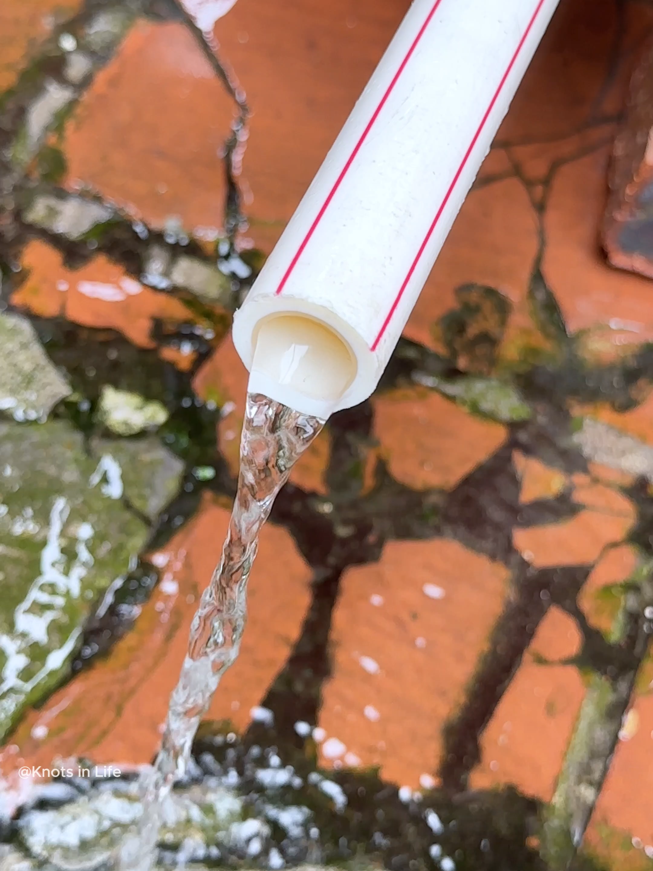 Great Ideas - Simple Plumbing Tips!💧