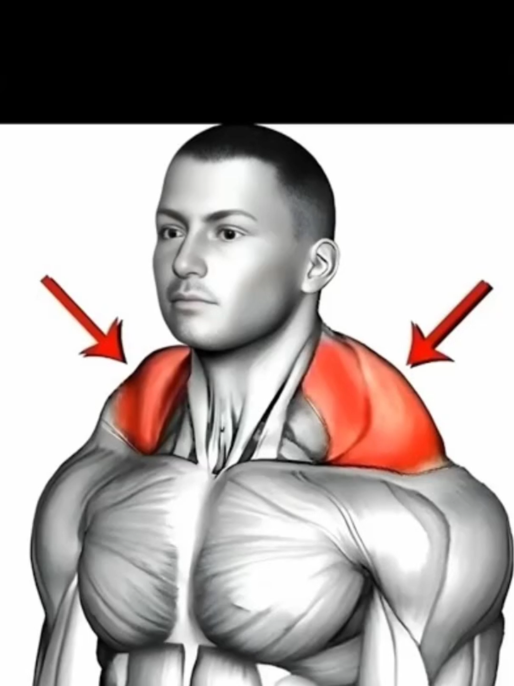Best way to build bigger Traps in 30 days. No one tells you this for free🔥💪 #exercise #Fitness #gym #GymTok #workoutmotivation #muscle #musculation #homeworkout #Traps #Trapsworkout