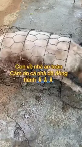 Vừa đưa bé từ cõi chết trờ về 🥹#cuutrodongvat #xuhuongtiktok 