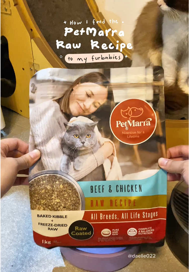 This is how I feed the Petmarra raw recipe to my furbabies💖 @PetMarra  #petmarra #drycatfood #catfood #catfoodrecommendation #petmarracatfood 