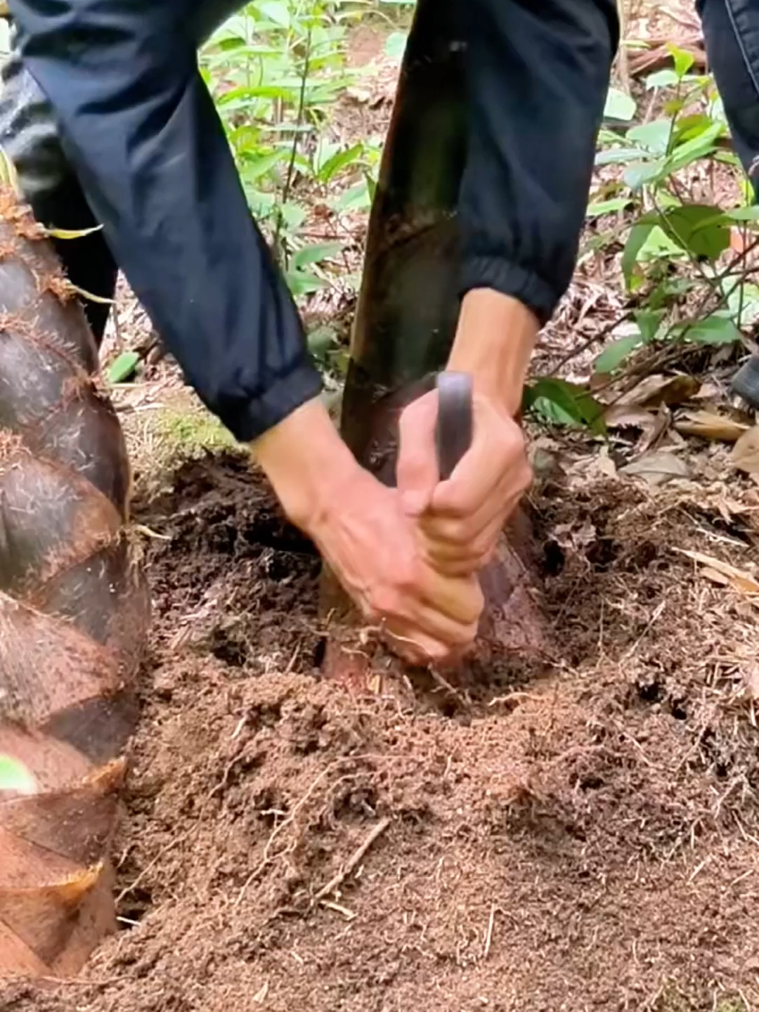 Ai muốn bứt phá trong sự nghiệp, kinh doanh hoặc lãnh đạo. Khi thấm nhuần những nguyên tắc trong 