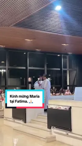 Kính Mừng Maria #cônggiáo #lmngocbao #kinhthanh #tiktokconggiao #Fatima 