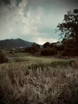 讓一個比我更好的人來愛你。即使我仍然愛你，我寧願讓你和別人幸福，也不願讓你和我一起沮喪。Nhuong ai d6 tốt hơn anh để yêu em. Tuy anh vẫn còn thương em thật, nhưng mà thà để em vui vẻ bên người khác còn hơn là chán nản khi cạnh anh..#fyp #buon_tam_trang #xuhuong 