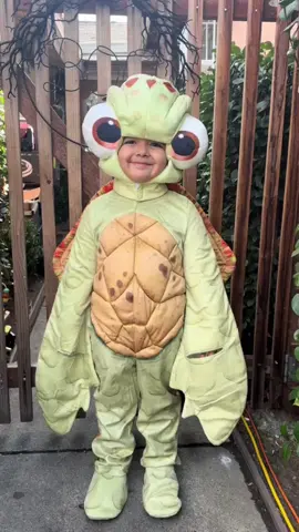 DUDEEEE 🐢💚 #findingnemo #disney #fyp #halloween #viral 