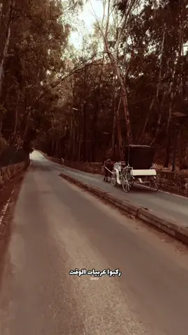 #فيروز #viralvideo #مشاهد #fyppppppppppppppppppppppp #creatorsearchinsights 