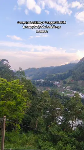 #sarangan #fyp #tonggeret #gunung #viral 