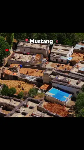 full video on youtube keep watching mustang first travel series #DiscoverWithTikTok #sizzu💚 #TikTokVlog #mustang @#keshab 