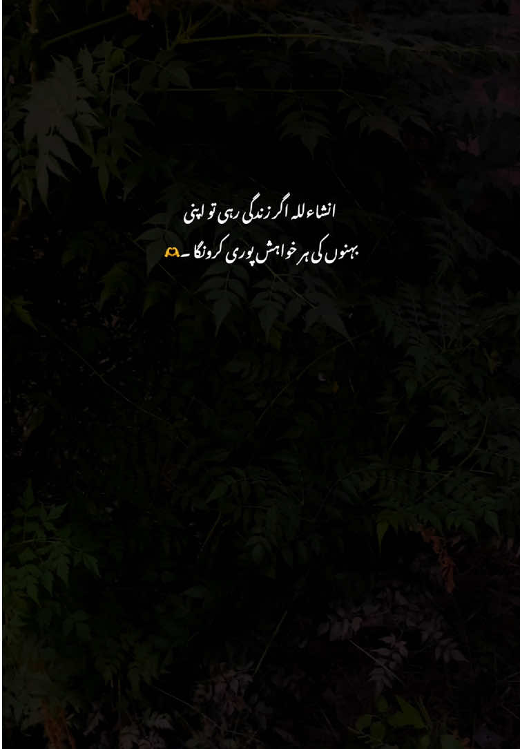 Inshallah🥺❤️#fyp #grow #poetry #viralvideos #aestheticvideos 