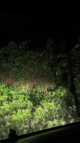 dúng là đừng tin vào google 😛😛😛😛😛😛😛