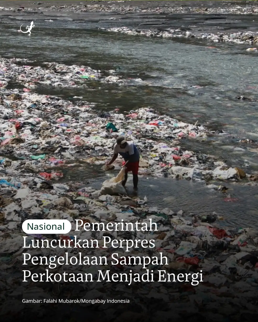 Presiden Prabowo Subianto resmi menerbitkan Peraturan Presiden (Perpres) Nomor 109 Tahun 2025 tentang Penanganan Sampah Perkotaan Melalui Pengolahan Sampah Menjadi Energi Terbarukan. Perpres yang diteken pada 10 Oktober 2025 ini bertujuan mengatasi kedaruratan sampah yang volumenya mencapai 56,63 juta ton per tahun sekaligus memperkuat ketahanan energi nasional. Aturan baru ini memprioritaskan percepatan pembangunan fasilitas Pengolahan Sampah Menjadi Energi Listrik (PSEL) atau Waste-to-Energy di kota-kota besar. Poin kunci regulasi ini adalah penetapan harga pembelian listrik PSEL oleh PLN sebesar US$20 sen per kWh untuk semua kapasitas. Harga ini bersifat non-negosiabel, memberikan kepastian finansial bagi investor swasta. Kabupaten/kota yang berhak melaksanakan program ini harus memiliki volume sampah minimal 1.000 ton per hari. Selain menjadi listrik, sampah juga dapat diolah menjadi bahan bakar minyak (BBM) terbarukan, biomassa, dan biogas. Pemerintah daerah wajib mengalokasikan APBD untuk operasional sampah dan menyediakan lahan dengan skema pinjam pakai tanpa biaya. Penerbitan Perpres 109/2025 menggantikan regulasi sebelumnya, Perpres Nomor 35 Tahun 2018, yang dinilai kurang efektif. Badan Pengelola Investasi Daya Anagata Nusantara (Danantara Indonesia) menargetkan proyek PSEL segera diluncurkan di 10 kota tahap awal, termasuk Jakarta, Bandung, dan Surabaya. Menteri Lingkungan Hidup memuji Perpres ini sebagai langkah besar pemerintah dalam memangkas birokrasi dan menjamin subsidi pembelian listrik, yang diharapkan dapat mempercepat penyelesaian proyek hingga 33 kota pada tahun 2027.