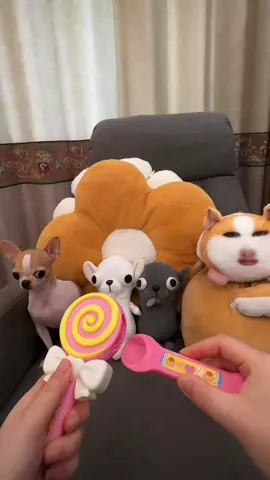 #funny #đángyêu #dog #chó #fyp 