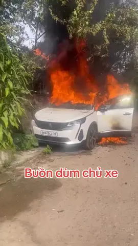 Buồn dùm chủ xe 