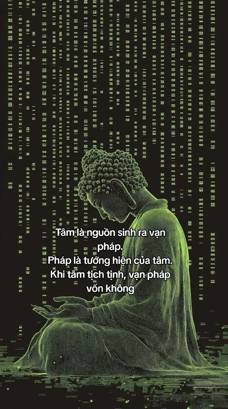 #dao #LearnOnTikTok #TikTokAwardsVN 