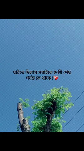 যে থাকবে আগলে রাখবো সারাজীবন #foryou #trending #banglacaption #popularvideo #captionvedi 