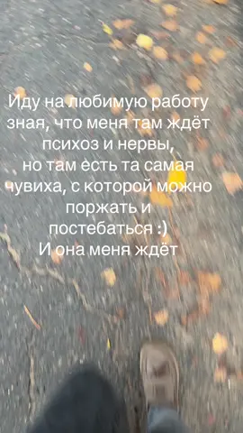 #рекомендации❤️ @Катя Ковалева #elbruso #pyfツviral_❤ #безхэштегов #gre 