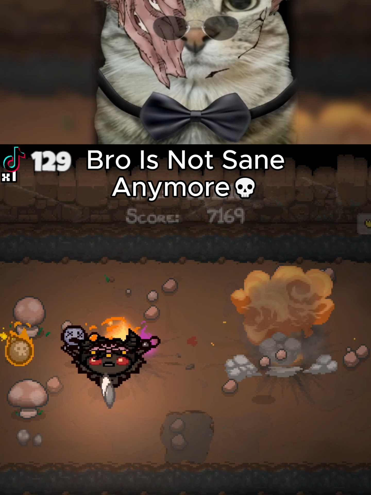 Insanity Isaac Streamer #thebindingofisaac #kayhosyt