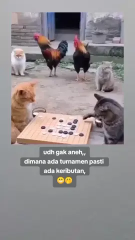 #cumasekedarhiburan😂🙏 #kontenhiburan✌️✌️🙏 
