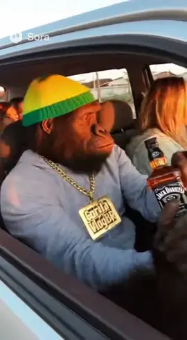 acorda pra vida menos foco mais ansiedade #humor #piada #comedia #divertido #diversao 