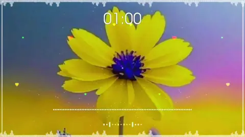 #مایادوه_په_هرلمانځه_مورجانی #😥💔💯🥀😭 #capcutvelocity #cctovideonotminevide #cctovideonotmine 
