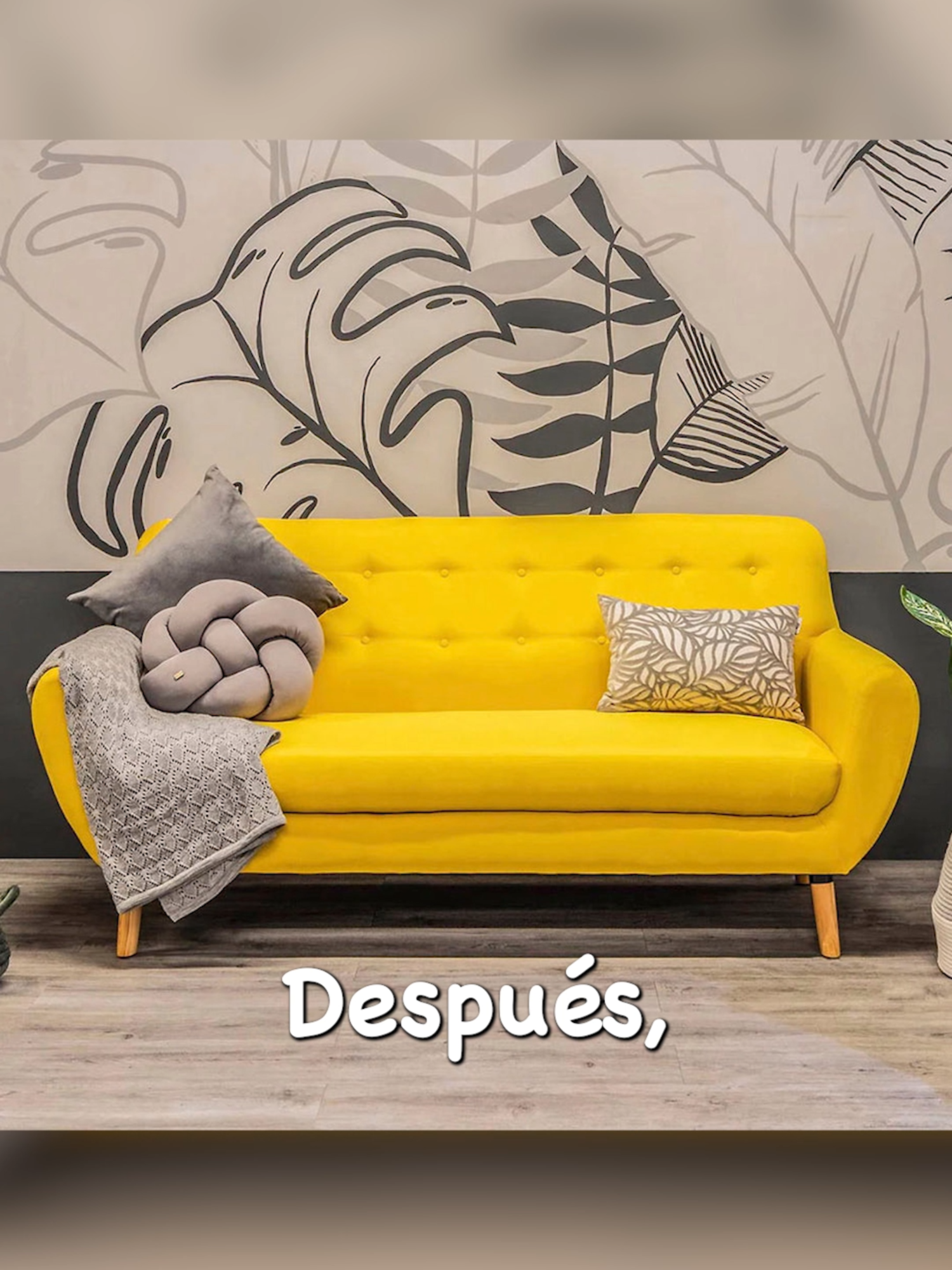 Perdí 2,000 pesos  😰​ #humor #comedia #limpieza #storytime #danielsantiago