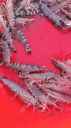 #xuhuongtiktok  hàng VIP #TikTokAwardsVN 