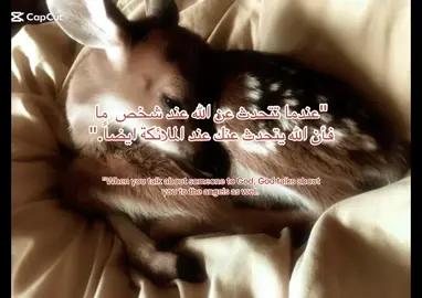 #استغفرالله #حساب ديني  #صلو على النبي  #fyp #الصلاة 
