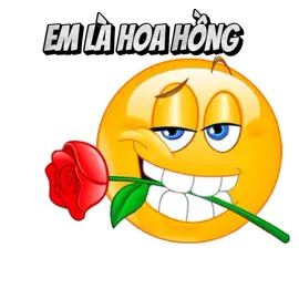 🗣️conanhlachongcuaem ✨#xhhhhhhh #funny #ytp #edit #TikTokAwardsVN 