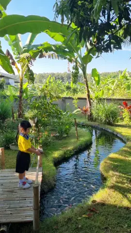 ก่อนไปโรงเรียนต้องให้อาหารปลา👧🏻🥰 #สวน #คลองไส้ไก่ #ธรรมชาติ #บ้านไอยู #ความสุข 