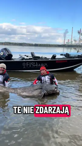 World catfish record ! #fishhub  #polskaakademiawedkarska #worldrecord #catfishrecord 