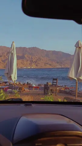 العصله دهب جنوب سيناء  #اكسبلورexplore❥🕊🦋💚❤ #مصمم_فيديوهات🎬🎵 #حالات_واتس🖤🔥 #اكسبلورexplore❥🕊 