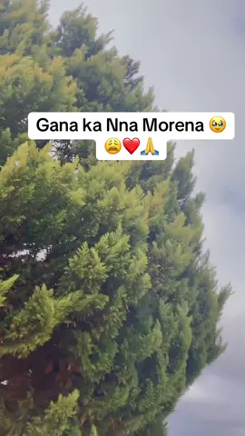 #yakakgosiebeilwesione🙏🙏🙏 