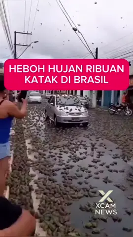 viral sebuah video yang beredar tentang fenomena hujan katak di negara brasil, ada yang mengatakan ini memang bisa terjadi namun ada juga yang mengatakan ini adalah video ai. Hujan katak bisa terjadi karena adanya pusaran angin atau puting beliung kecil yang melintas di area rawa, sungai, atau danau. Pusaran tersebut mampu menghisap benda-benda ringan, termasuk katak kecil, lalu terbawa ke awan. Saat hujan turun, hewan-hewan tersebut ikut jatuh bersama tetesan air.