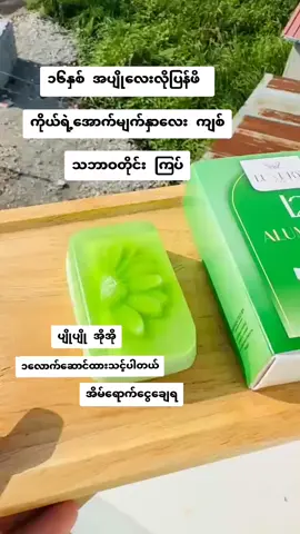 #l2ကျောက်ချဥ်ဆပ်ပြာ #သဘာဝအတိုင်းကြပ်ချင်မှသုံး #mywwd2 #ti̇ktok #ဝမ်းတွင်းမြို့ 