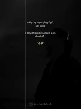 පෑරිලා ලේ ගලන තුවාල වලට වඩා හපන් දැණුනු මිනිස්සු හිටිහැටියෙම කරන වෙනස්කම්..! #nishad__music #nishad__music1 #nishad__wadan1 