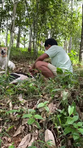 🤣#BKTEAM#porbisumbar#