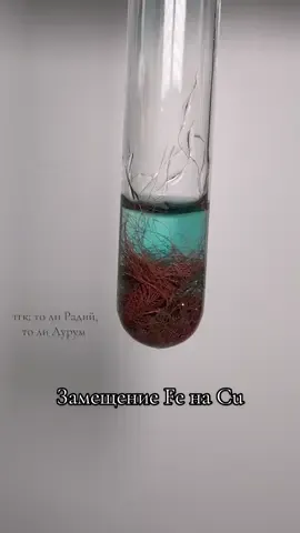 химия<3 Замещение Cu на Fe тгк: то ли Радий, то ли Аурум запись на занятия в тг: ulkins_chem #химия #химияегэ #репетиторпохимии #chemistry #fyp 