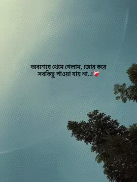 অবশেষে থেমে গেলাম, জোর করে সবকিছু পাওয়া যায় না..!❤️‍🩹#foryou #foryoupage #trending #fyp #viralvideo 