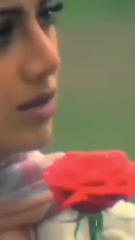 🥀#sadvibes🥀💔fyp_trending#dilneyekahahaidilse#bollwoodsong#fyp_quotes#berandatiktokfypシ 